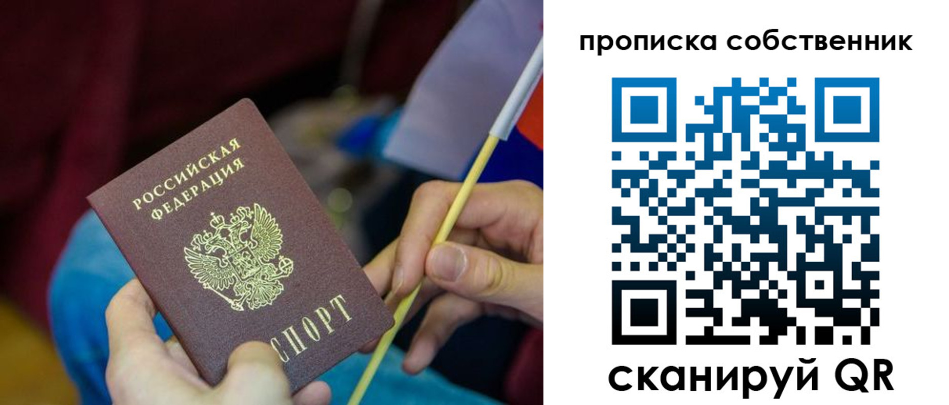 прописка в Александрове